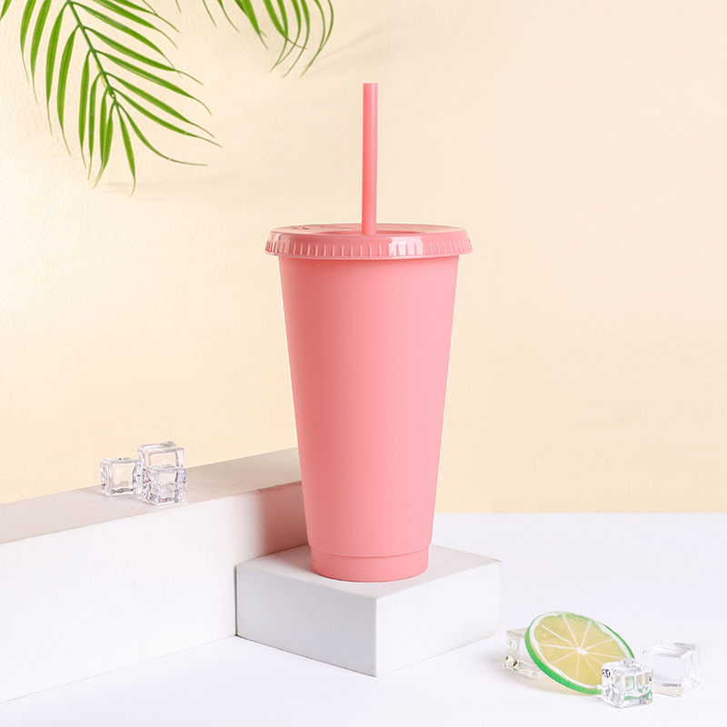 Hot Selling Funny Stylish Matt - Coffee Tea Tumbler 评论和价格