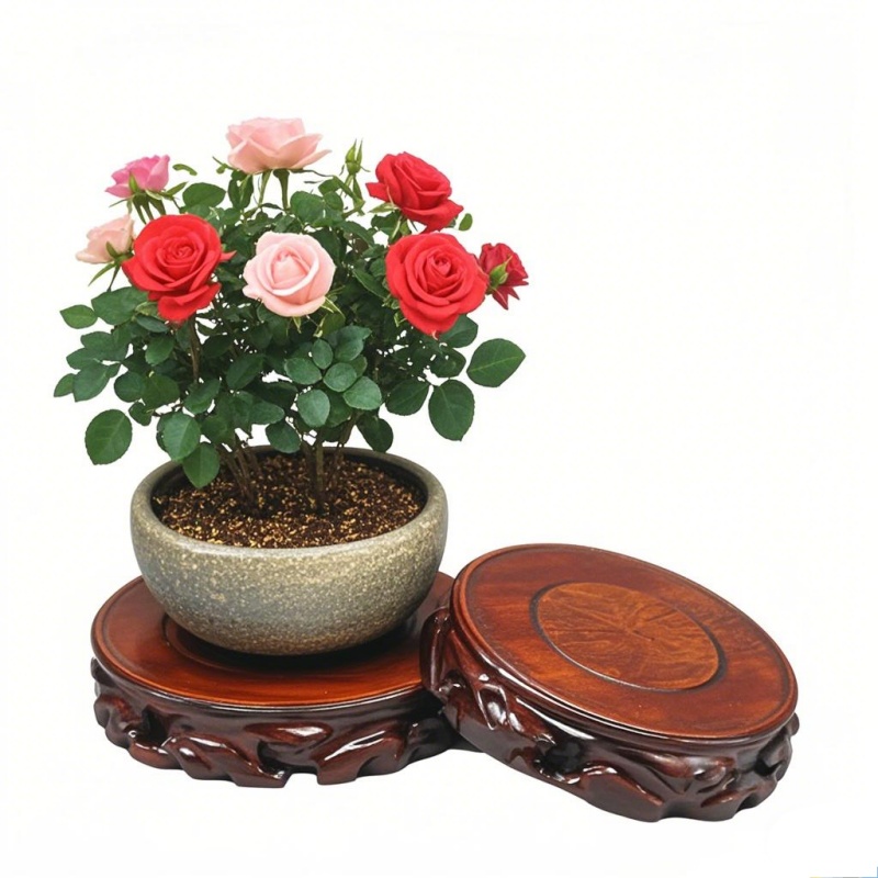 Wooden Plant Saucer & Flower P - Coffee Tea Garden 评论和价格